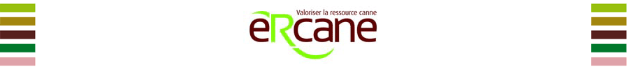 Logo eRcane